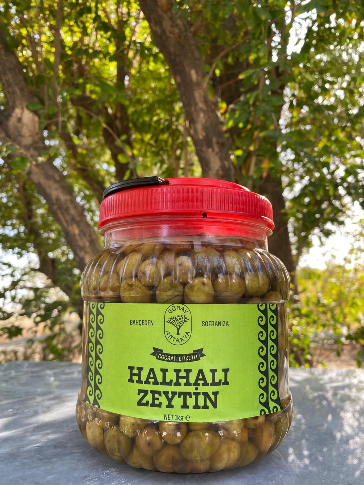 Hatay Halhali Çizik Zeytin (Yeni Sezon) - Net:1 kg