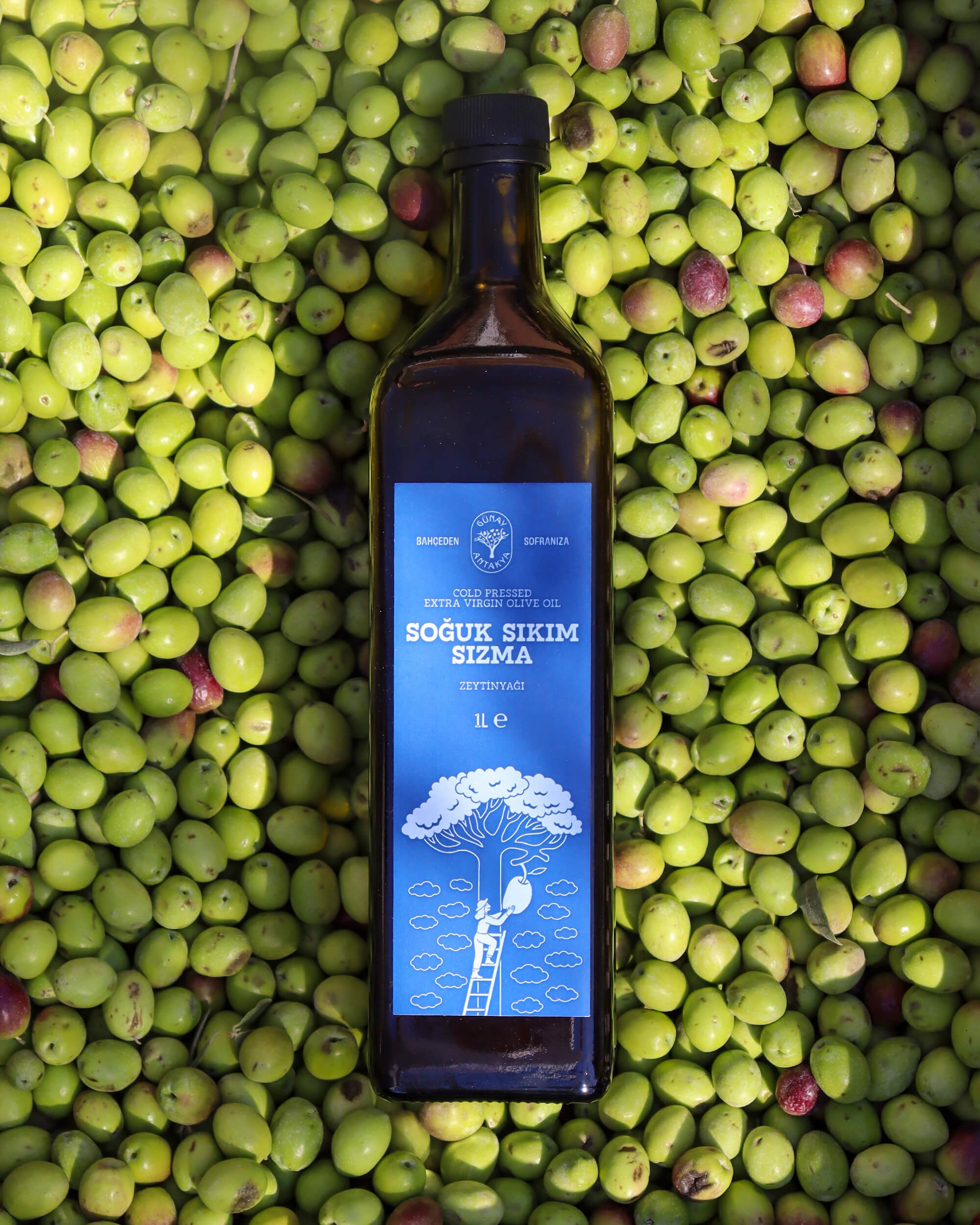 Soğuk Sıkım Sızma Zeytinyağı 1 lt (Yeni Sezon)