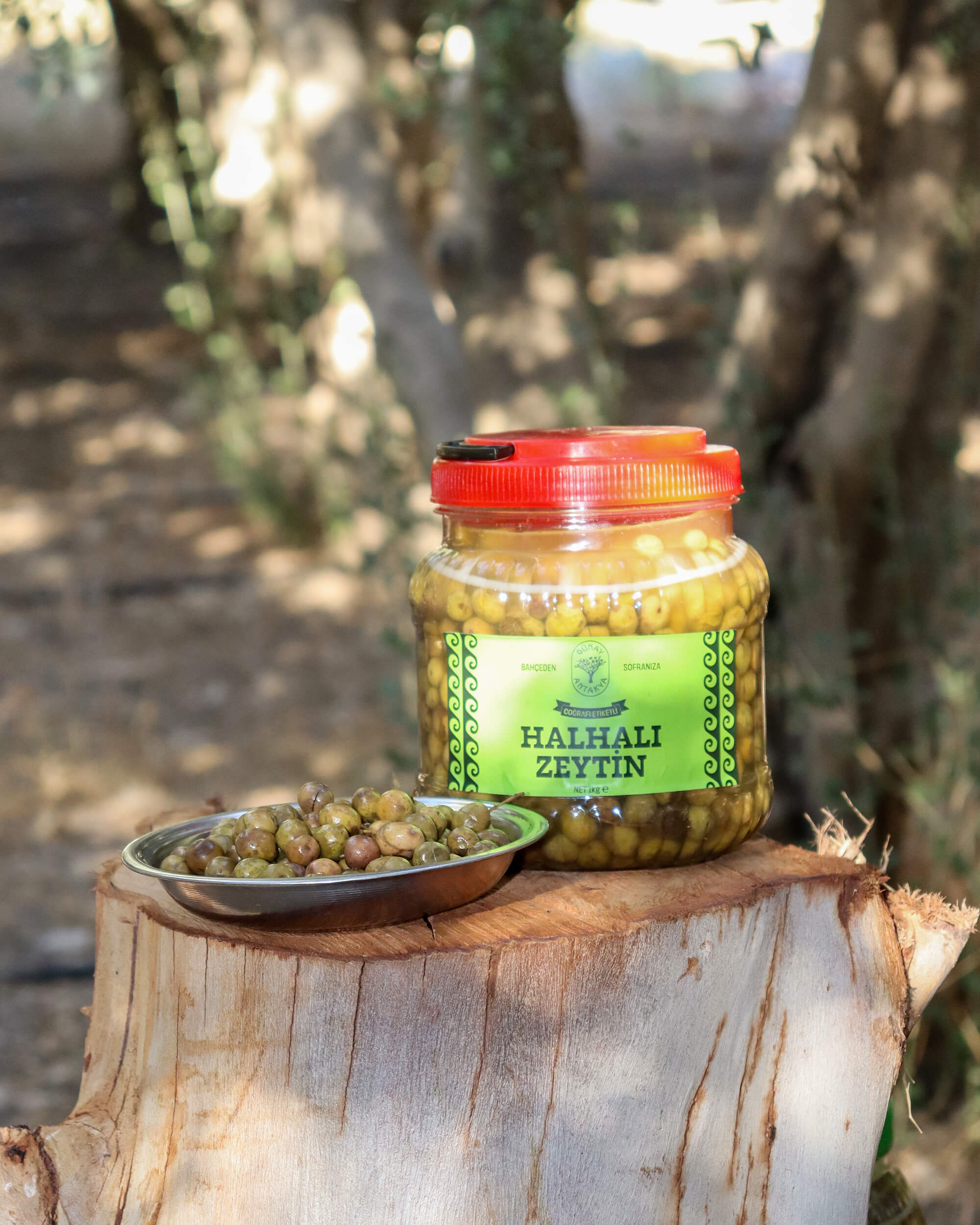 Hatay Halhali Çizik Zeytin (Yeni Sezon)