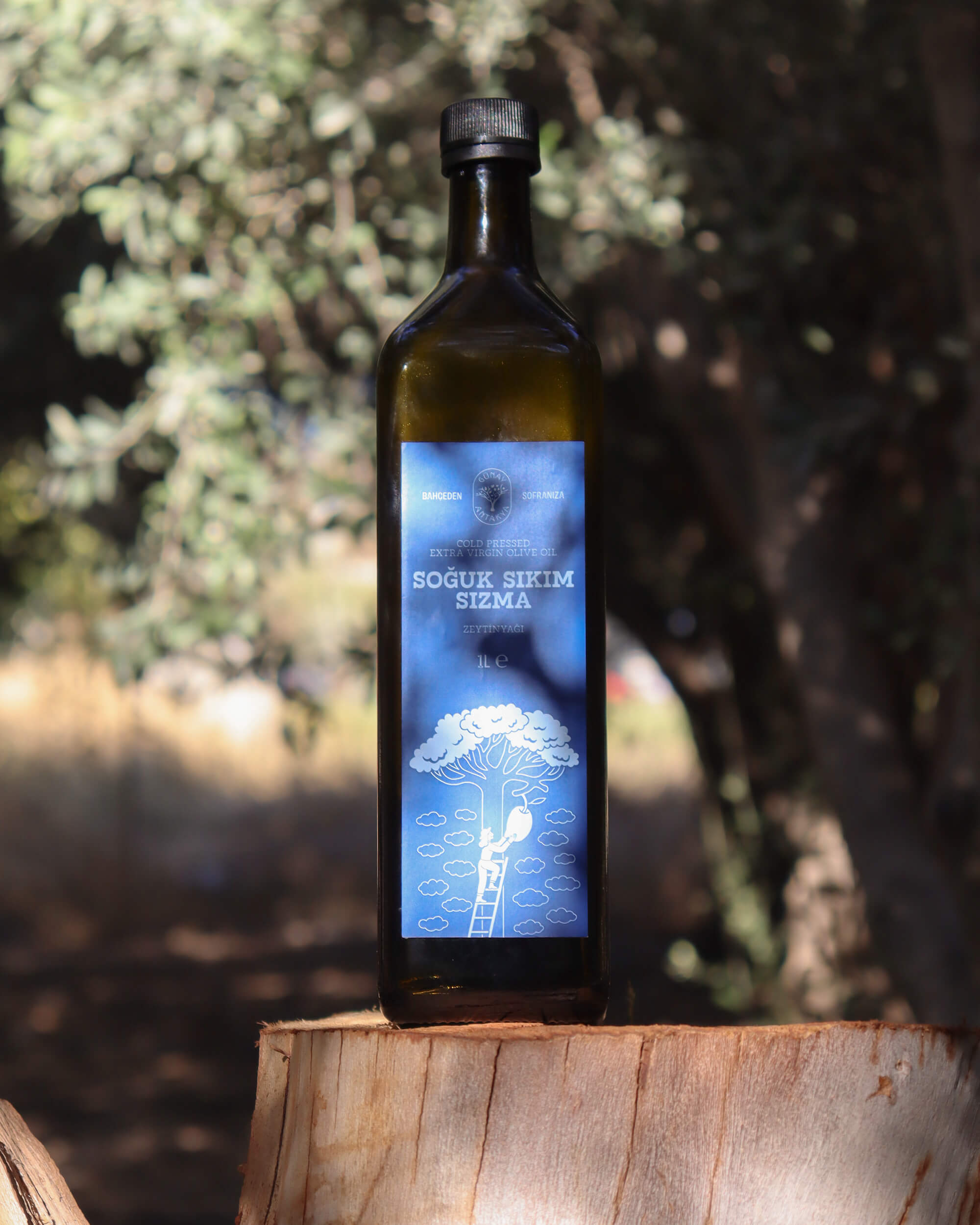 Soğuk Sıkım Sızma Zeytinyağı 1 lt (Yeni Sezon)