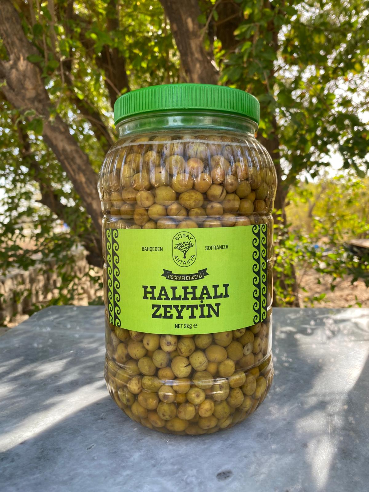 Hatay Halhali Çizik Zeytin (Yeni Sezon) - Net:2 kg
