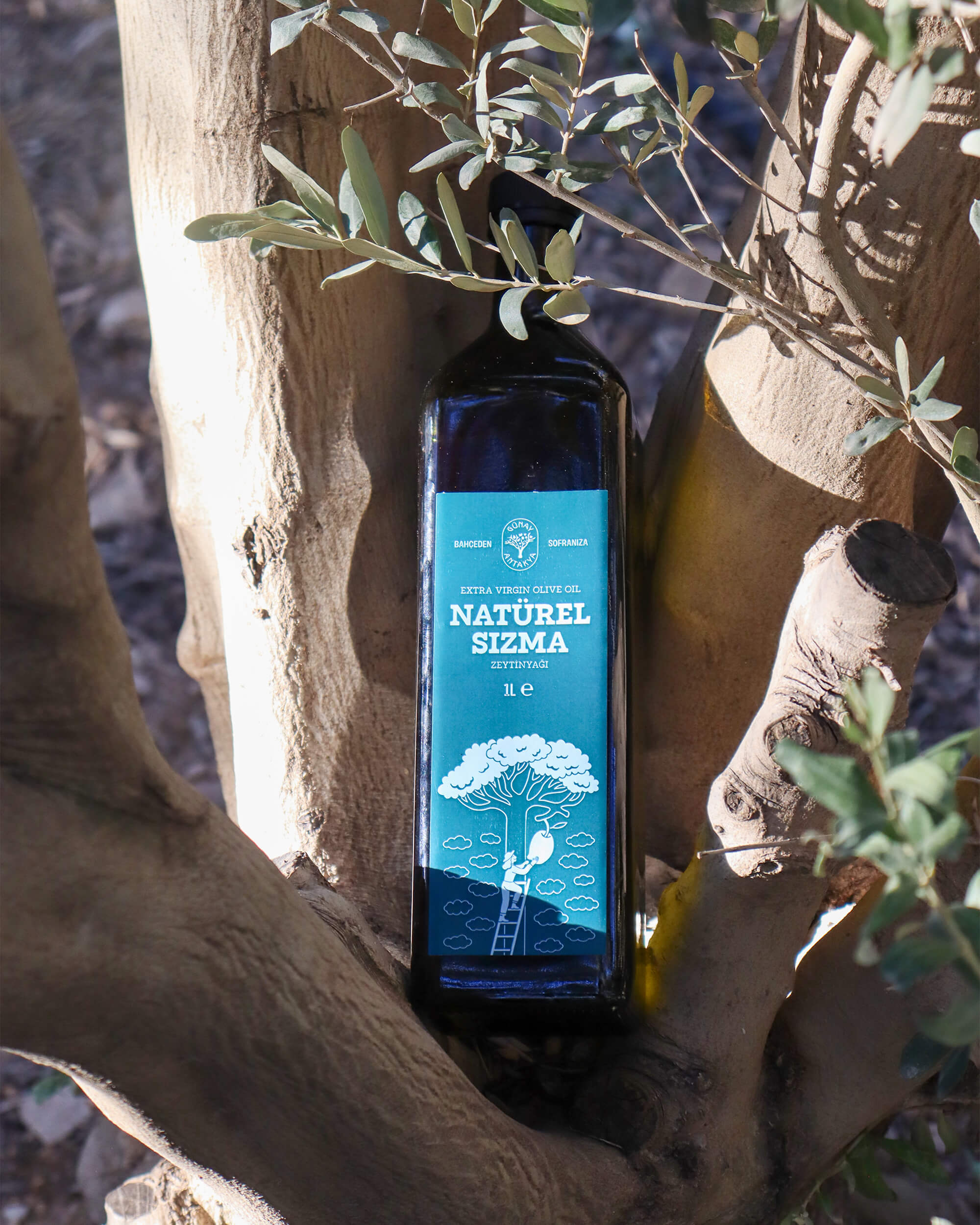 Natürel Sızma Zeytinyağı 1 lt (Yeni Sezon)