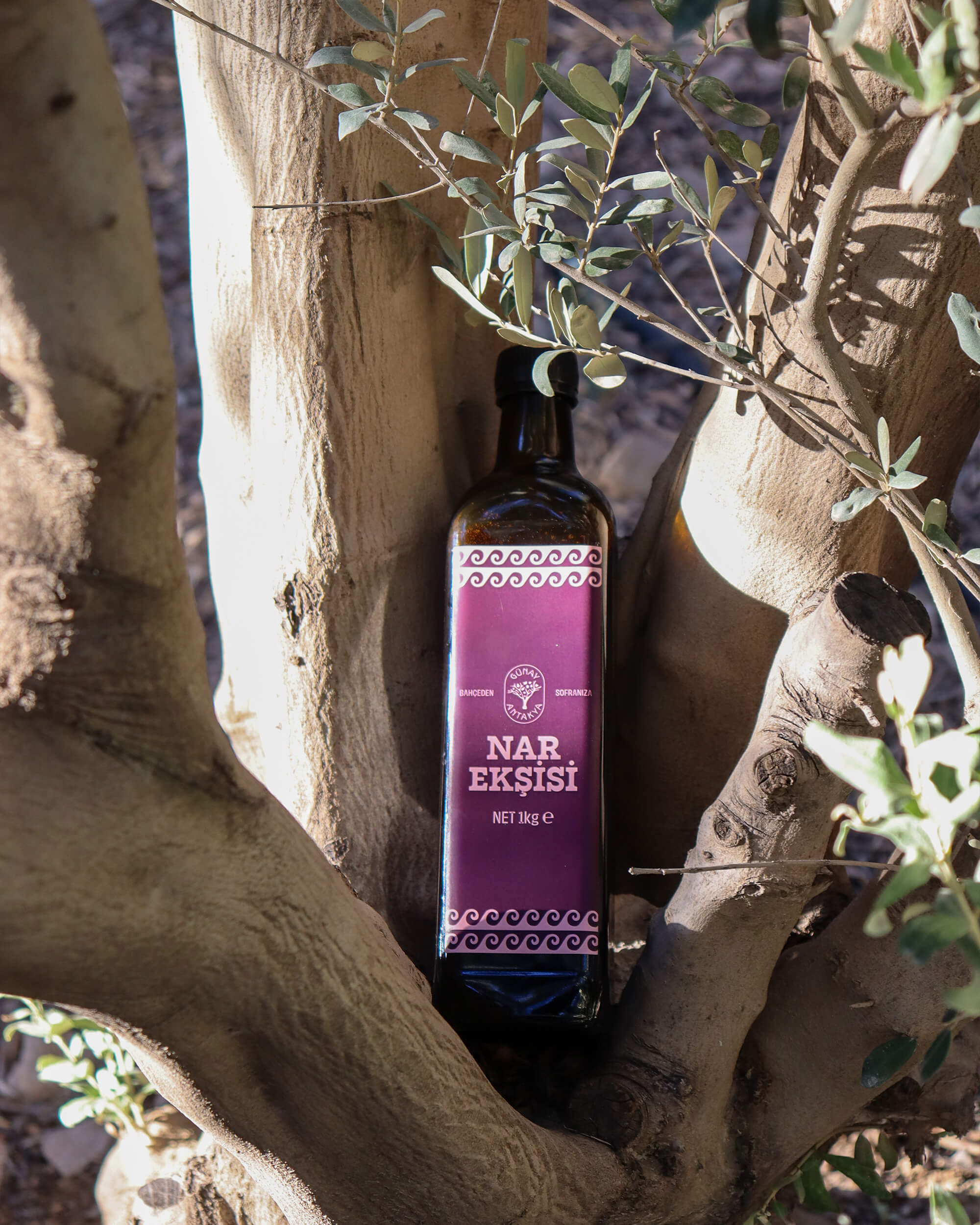 Hatay Nar Ekşisi 1kg (Yeni Sezon)