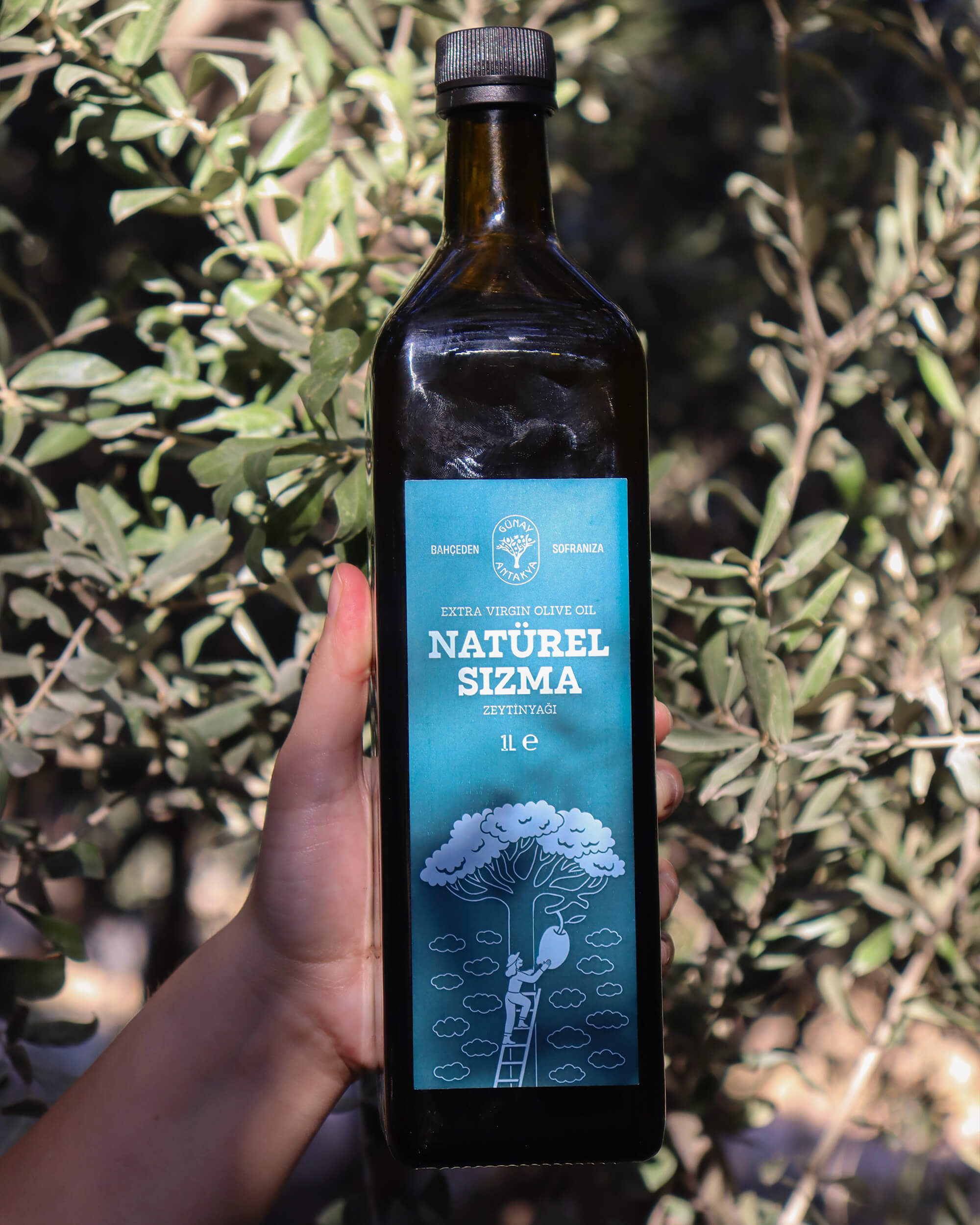 Natürel Sızma Zeytinyağı 1 lt (Yeni Sezon)