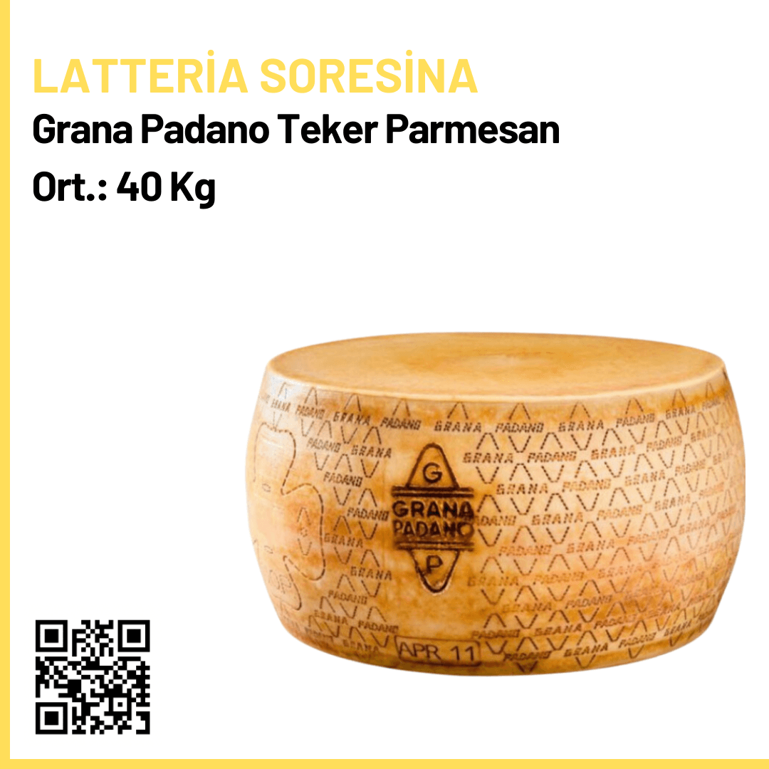 Latteria Soresina Grana Padano Teker Parmesan Peyniri Ort.: 40 Kg