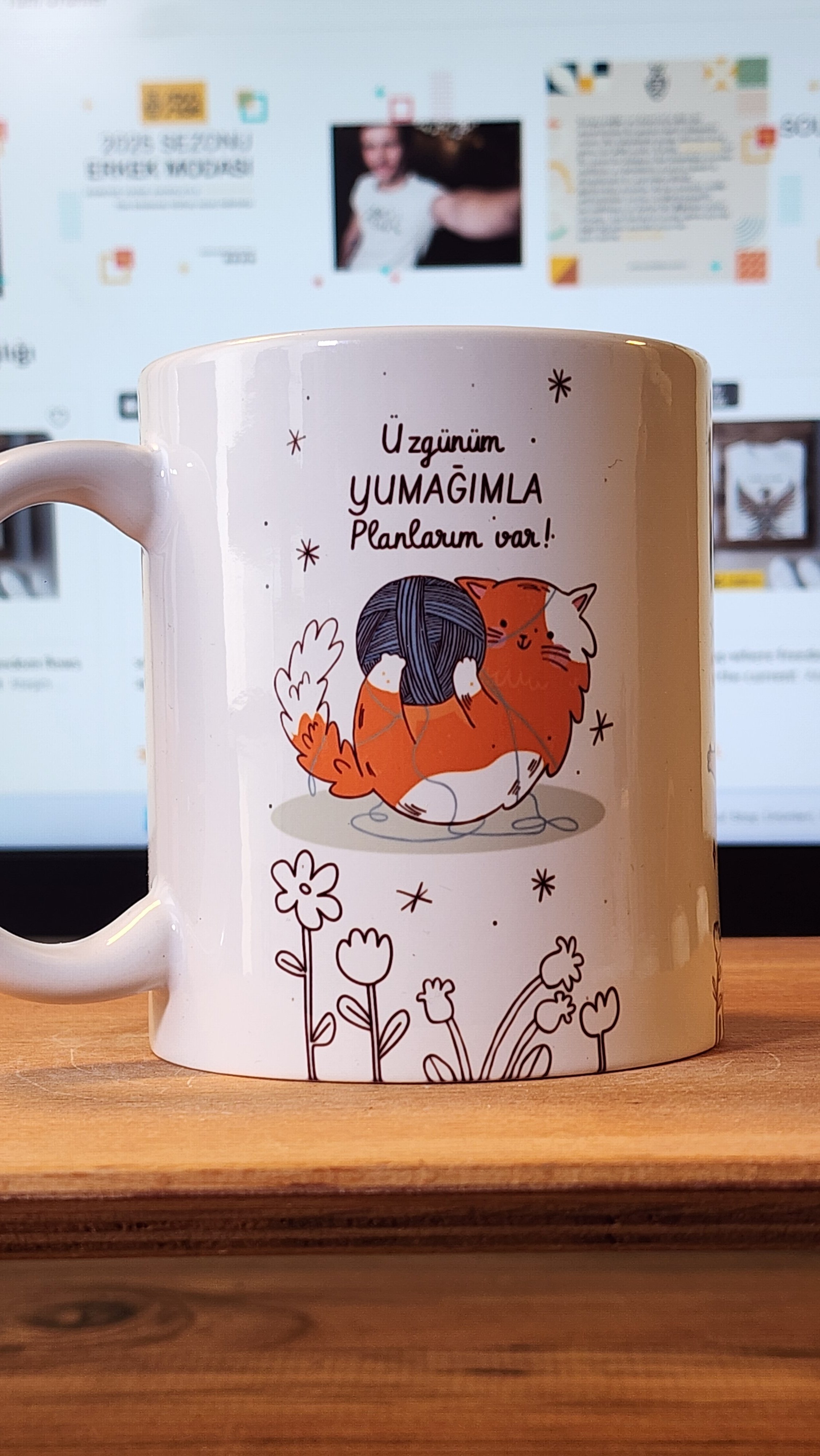 Profesyonel Pisi Sarılmacısı – Komik Kedi Temalı Kupa - Ücretsiz Kargo