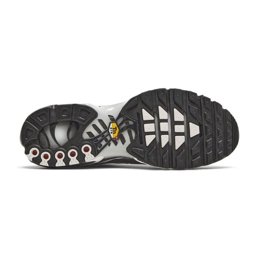 Air Max Plus Shattered Ice Black