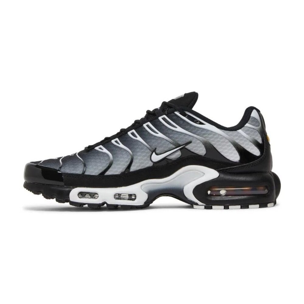 Air Max Plus Black Metallic Silver