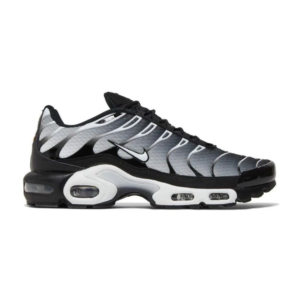 Air Max Plus Black Metallic Silver