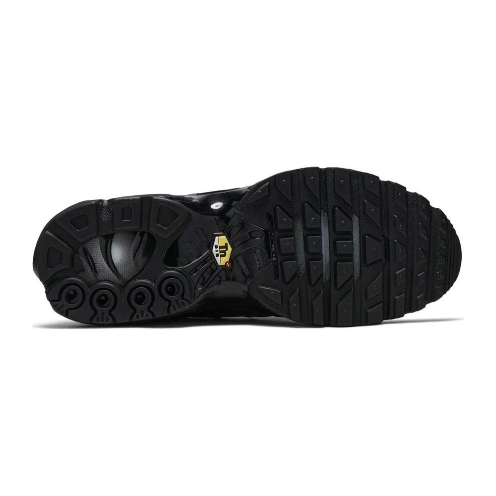 Air Max Plus Triple Black