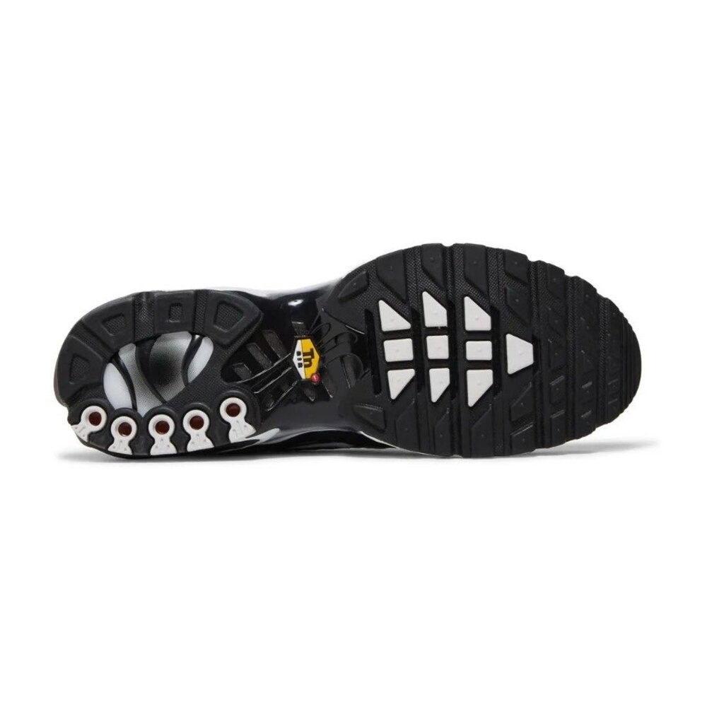 Air Max Plus Black Metallic Silver