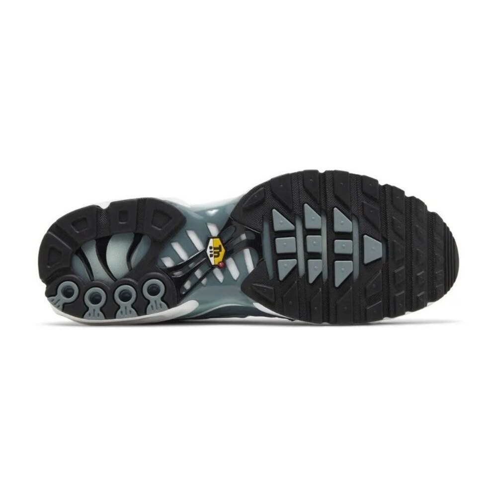 Air Max Plus Palm Pack Waterway