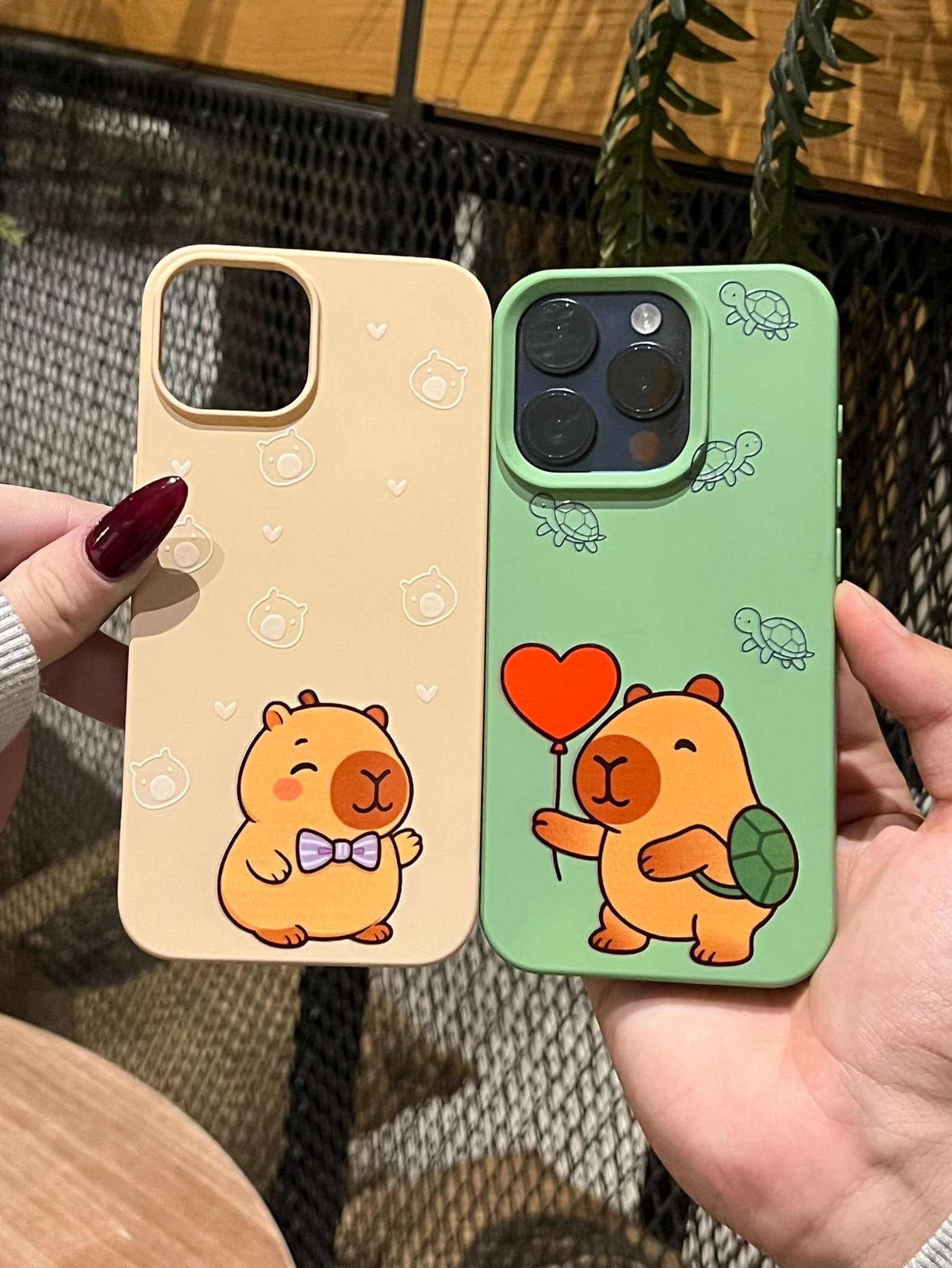 Kapibara Çift Kılıflar