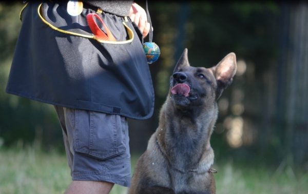 Rastro Köpek & Kedi Dayanıklı Isırma Topu Diş Kaşımaya Yardımcı Eğitim Oyun Topu