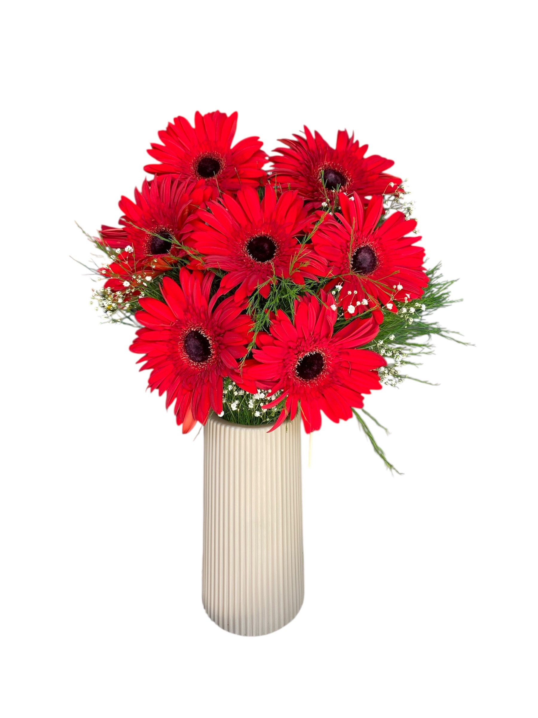Bej Çizgili Vazoda 7'li Kırmızı Gerbera
