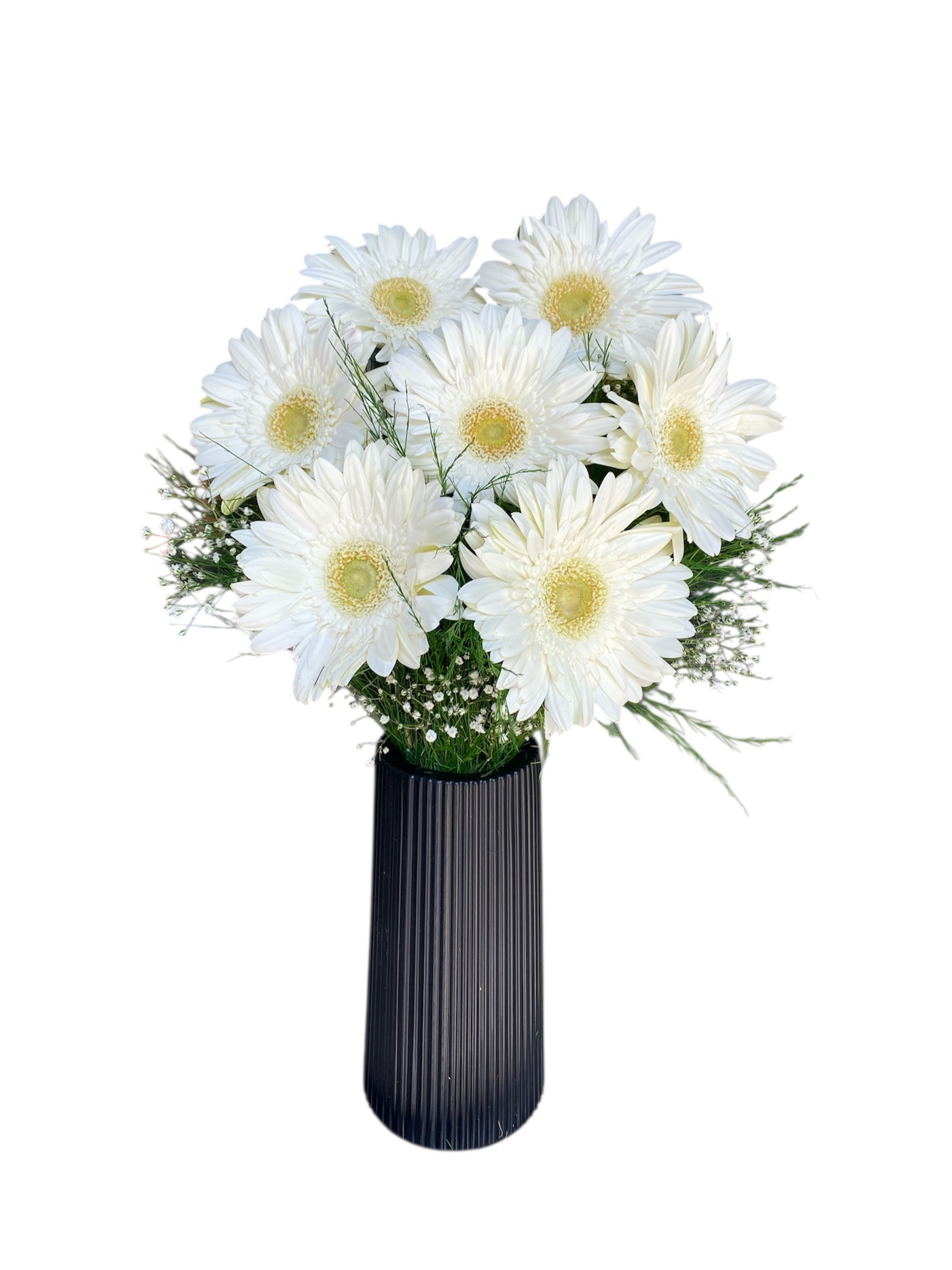 Siyah Çizgili Vazoda 7'li Beyaz Gerbera 