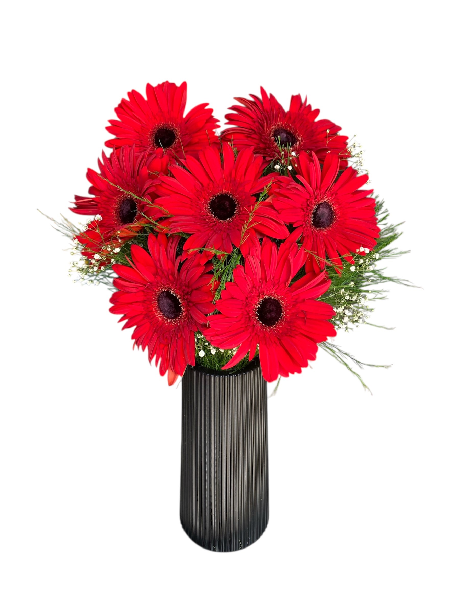 Siyah Çizgili Vazoda 7'li Kırmızı Gerbera