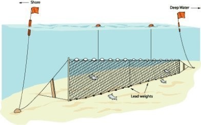 Fanyalı Germe Ağ En:150cm