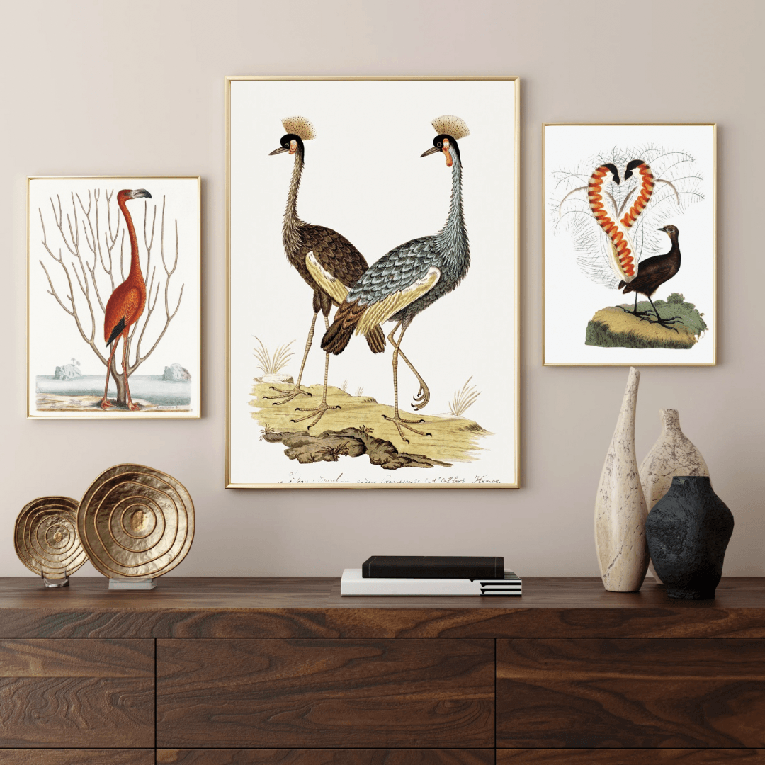 Flamingo-Taçlı Turnalar-Lir Kuşu Posterleri