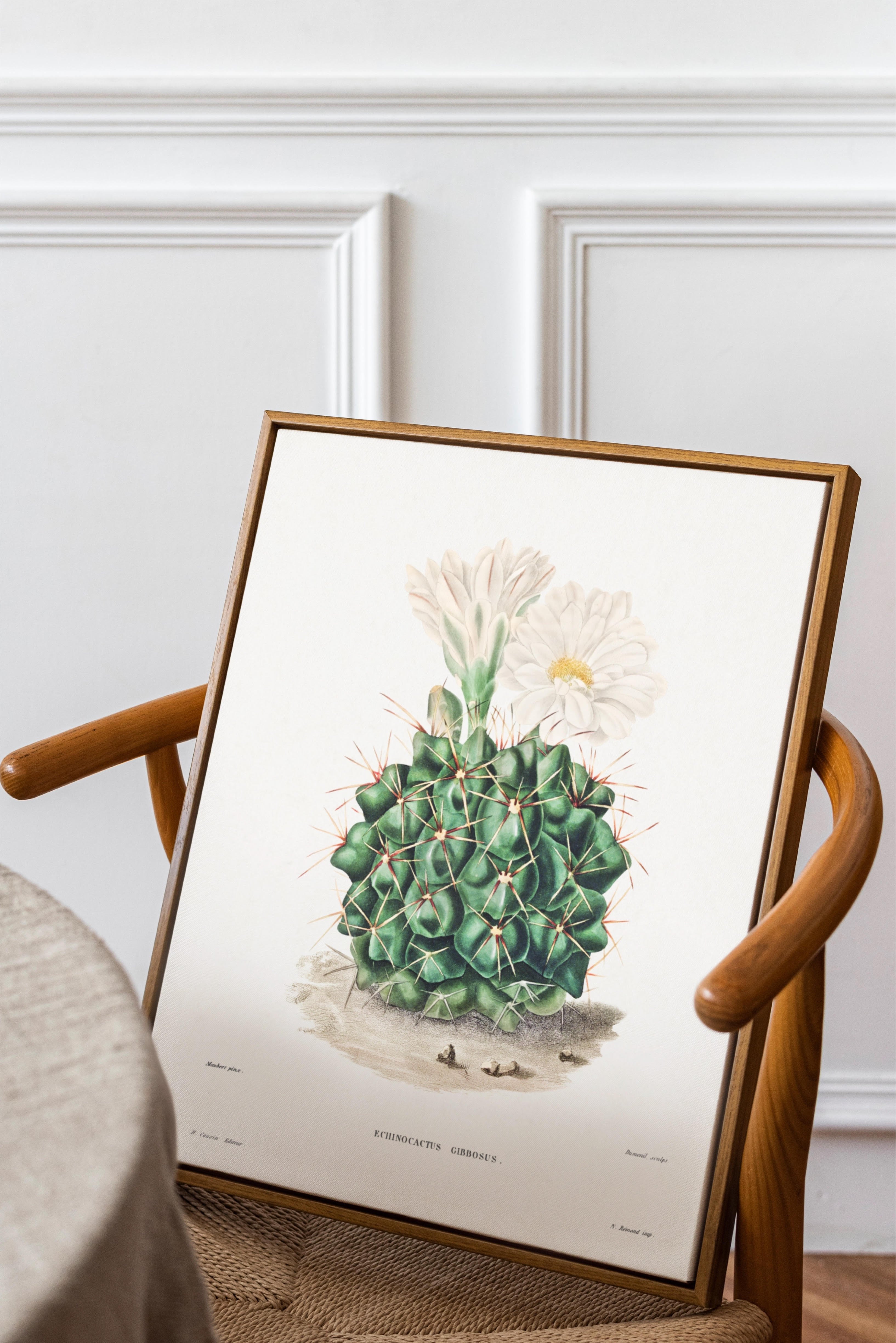 Kara Çene Kaktüsü Posteri