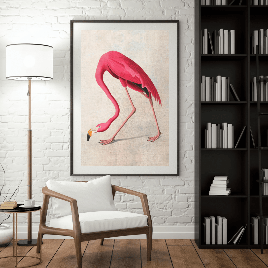 Flamingo İllüstrasyonu
