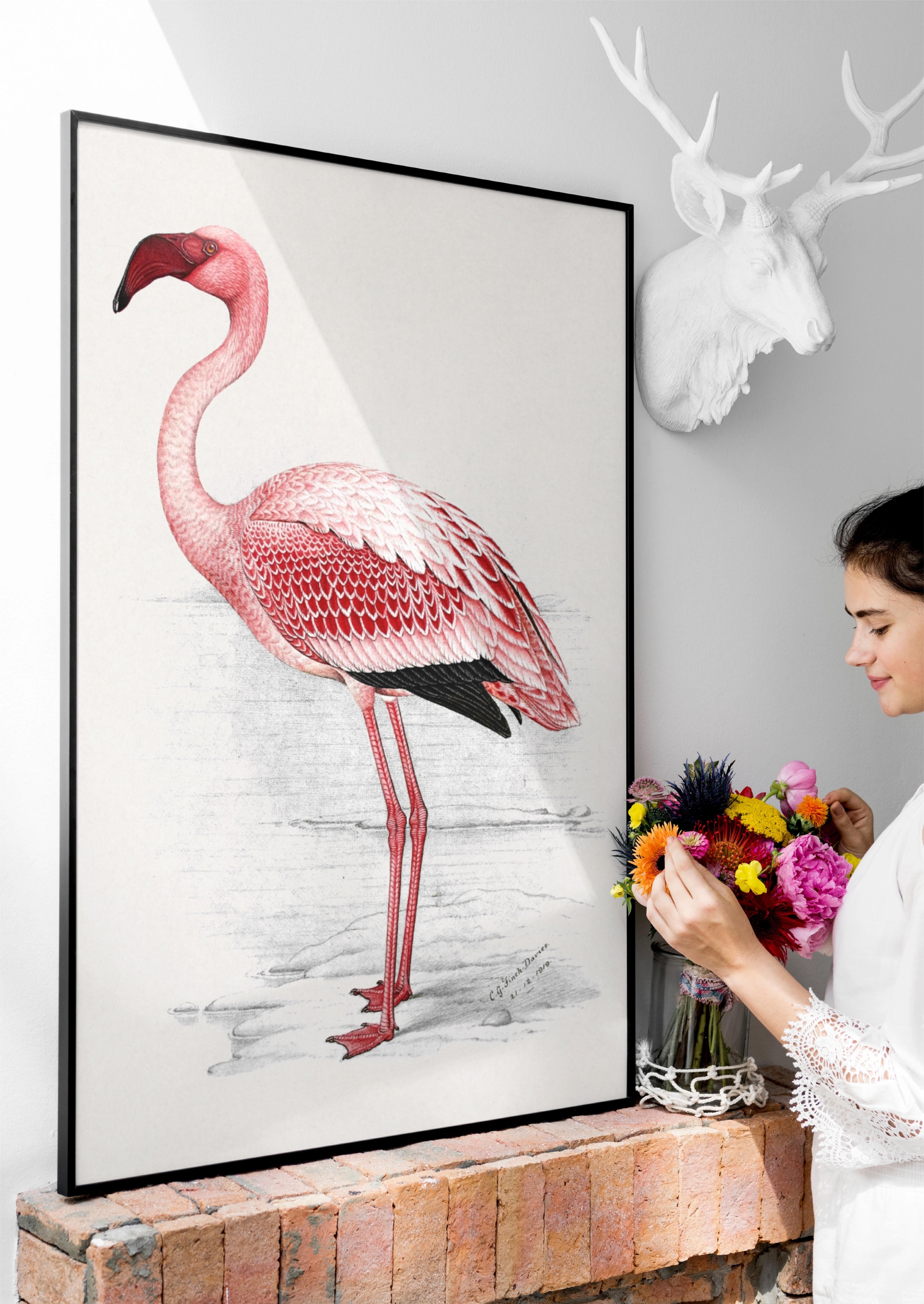 Flamingo Posteri