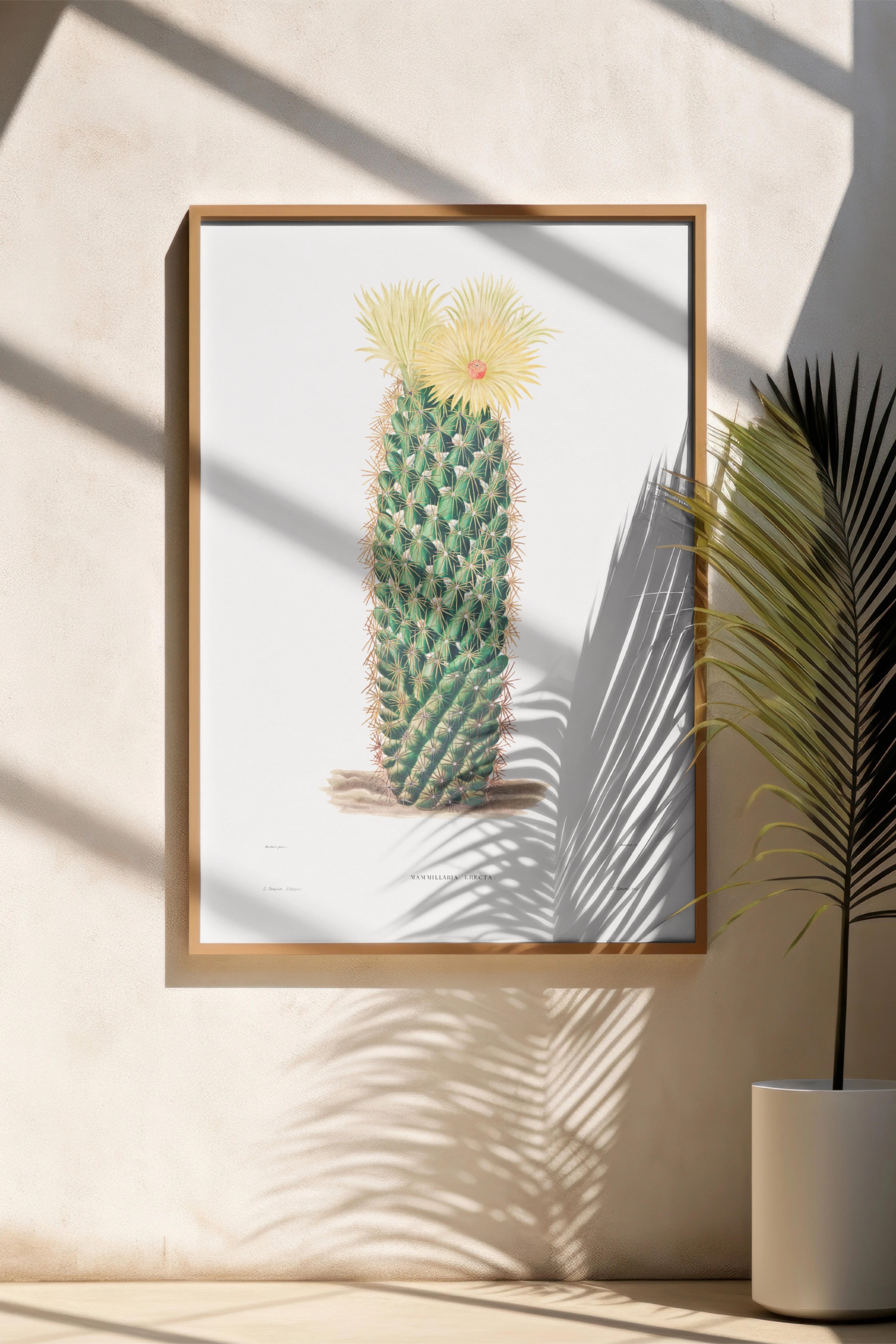 Kirpi Kaktüs Posteri