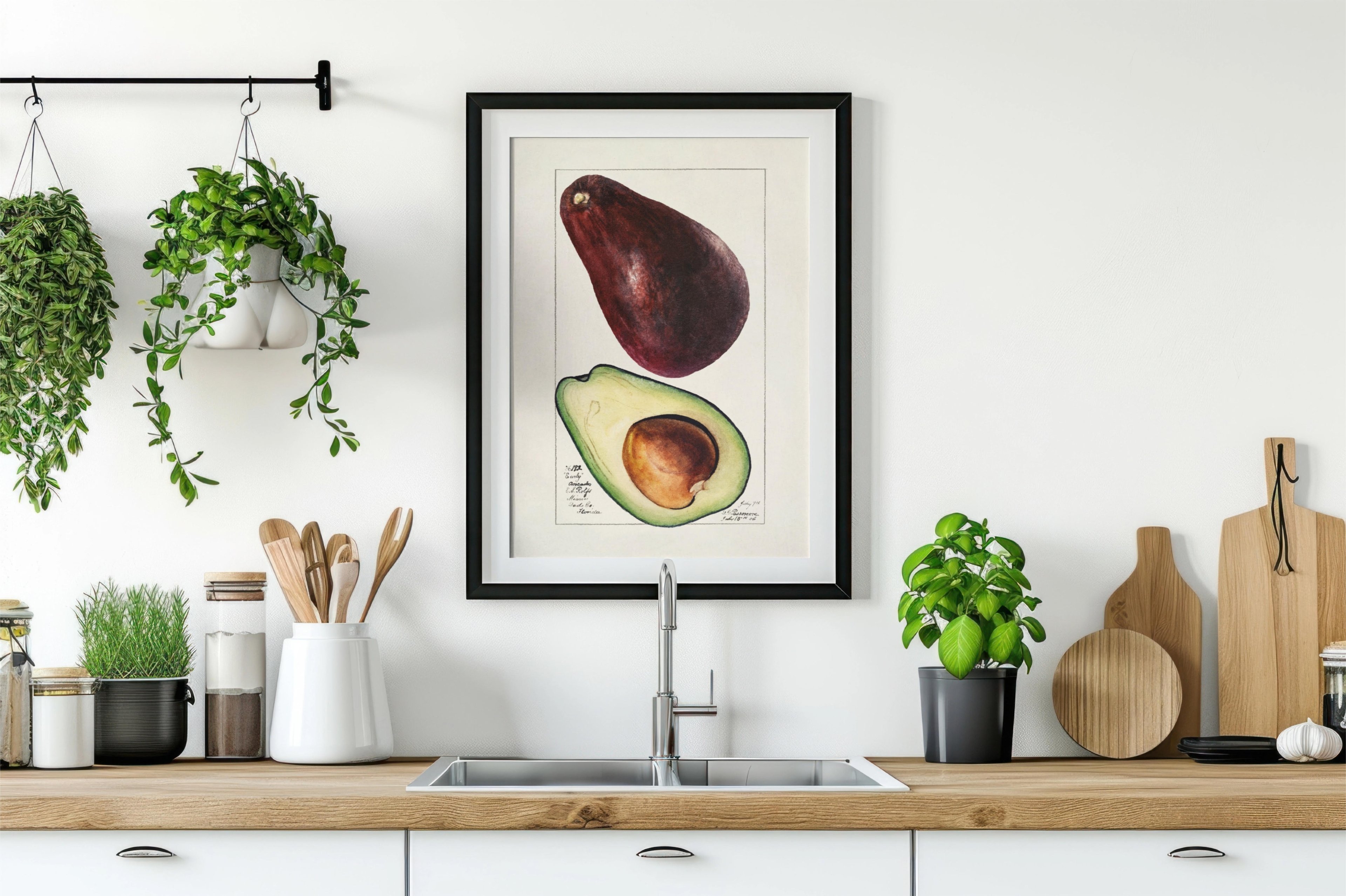 Avokado Posteri