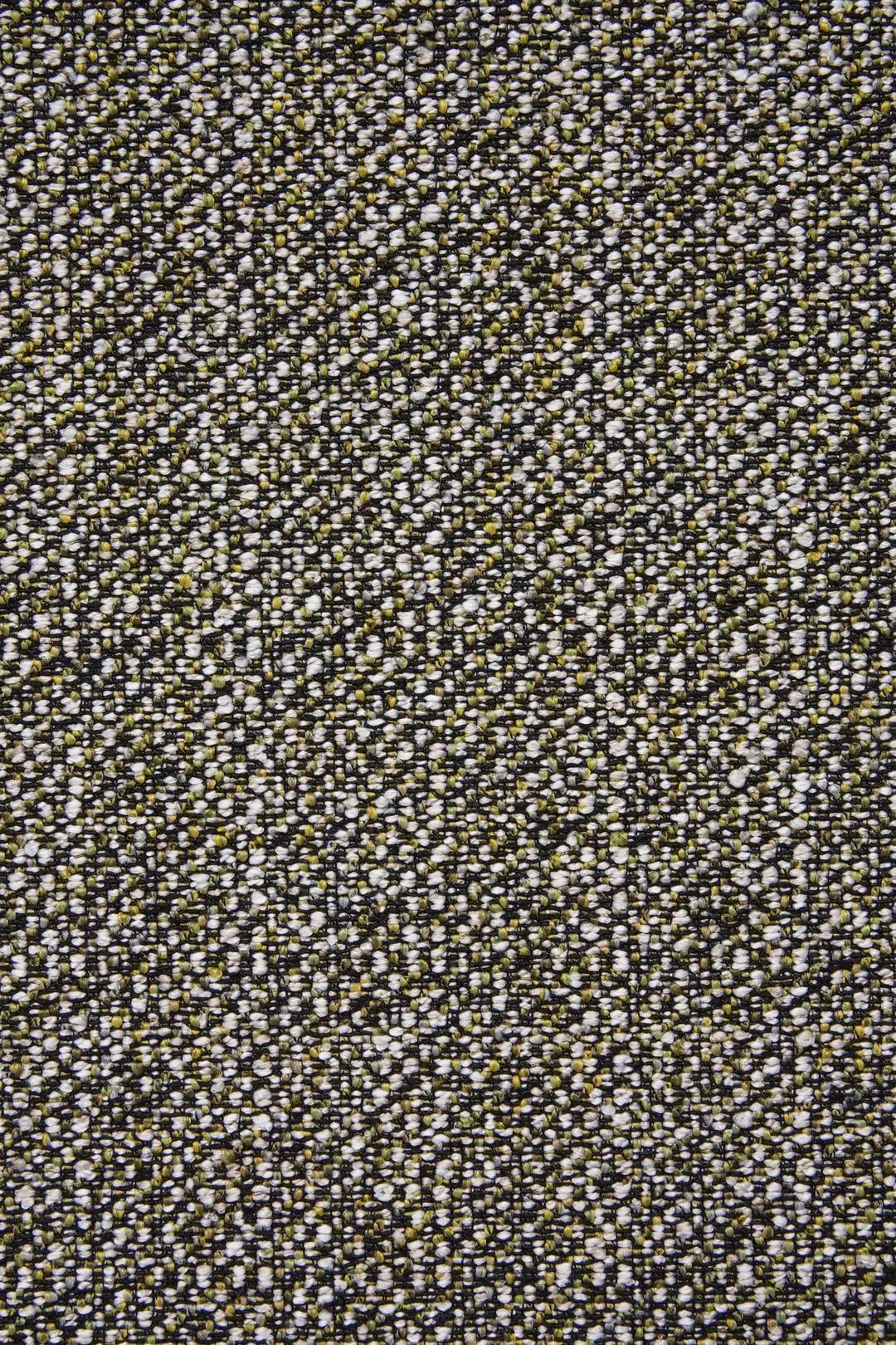 IVAN 03