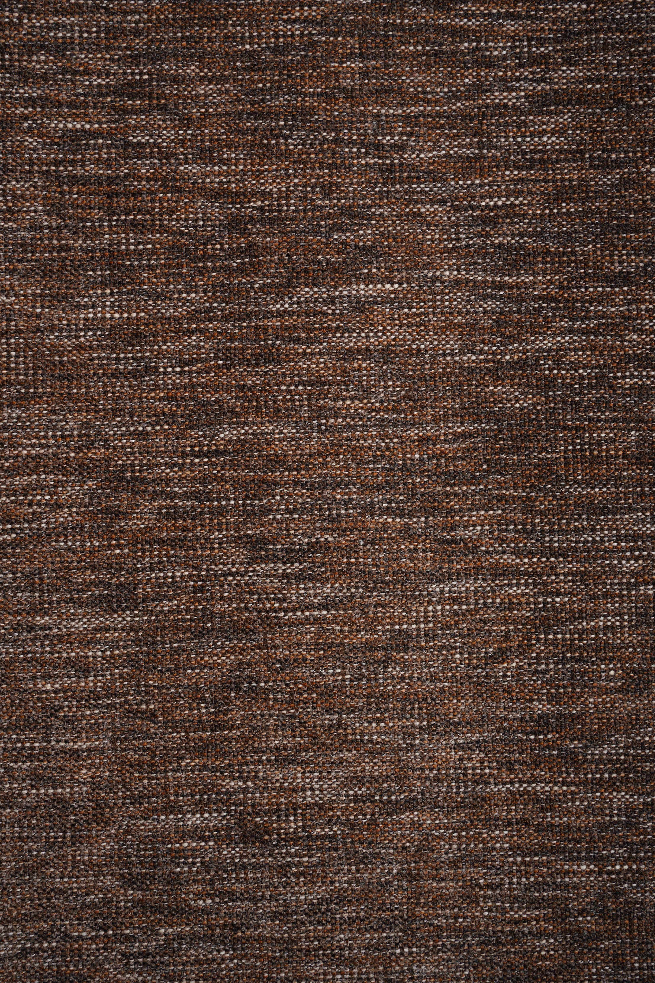 IVY 04