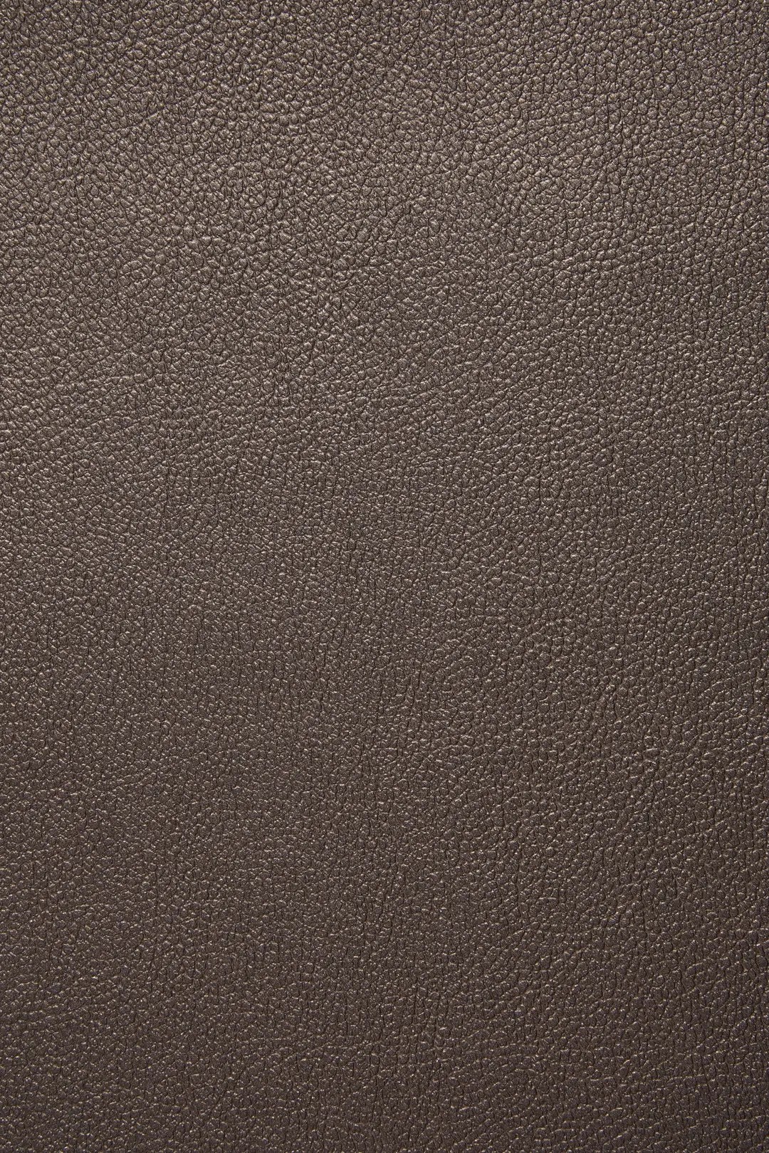 JASPER 10