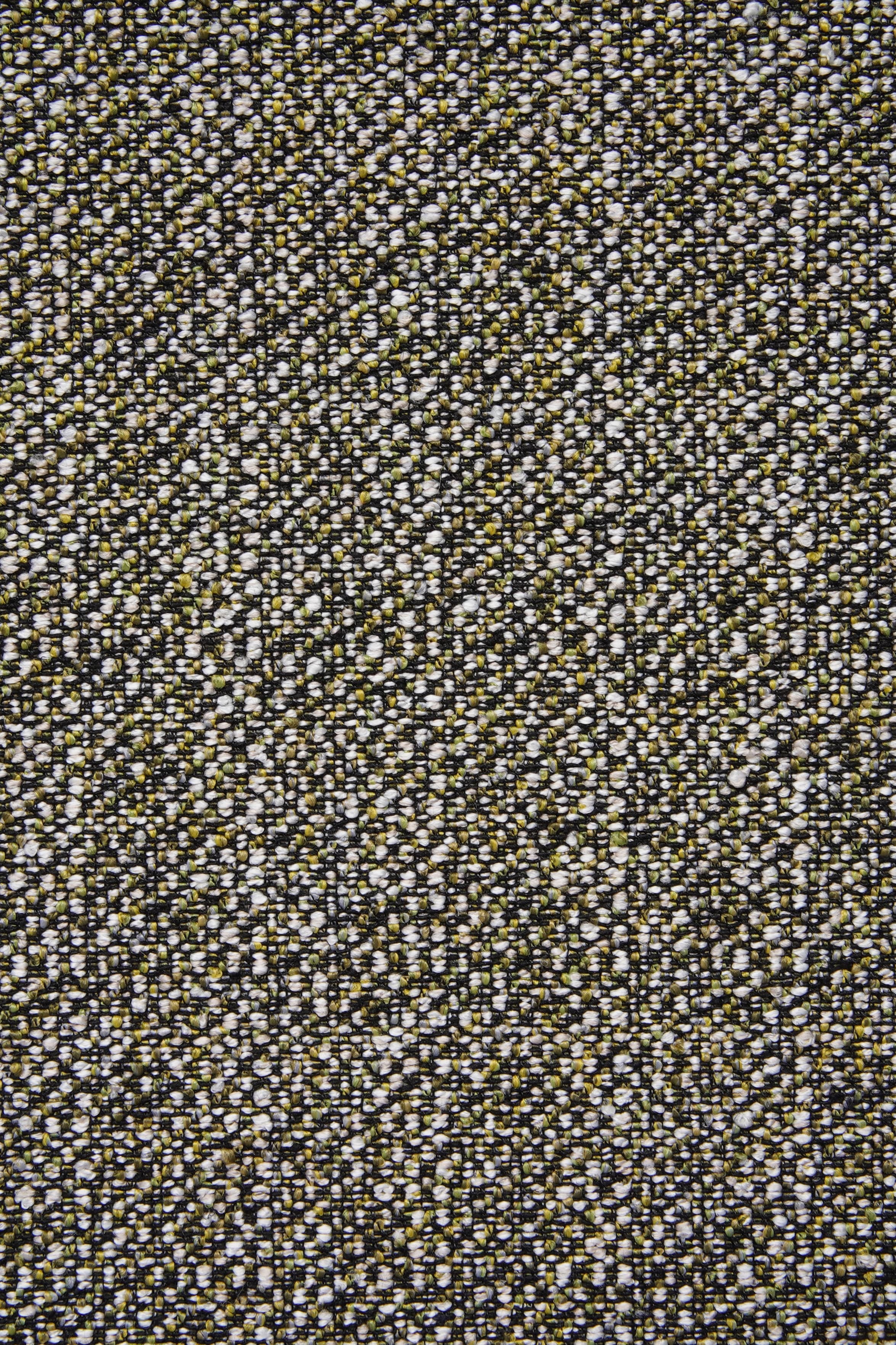 IVAN 03
