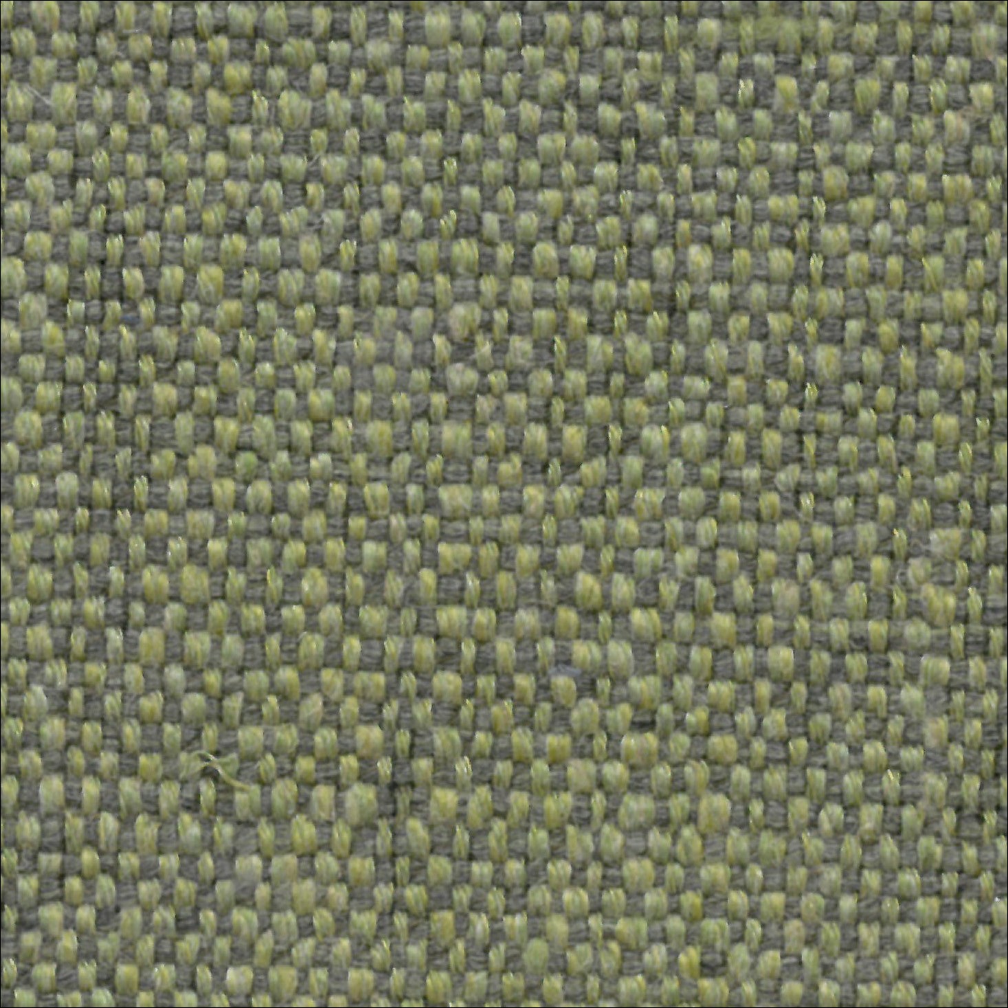 MANIHA 04