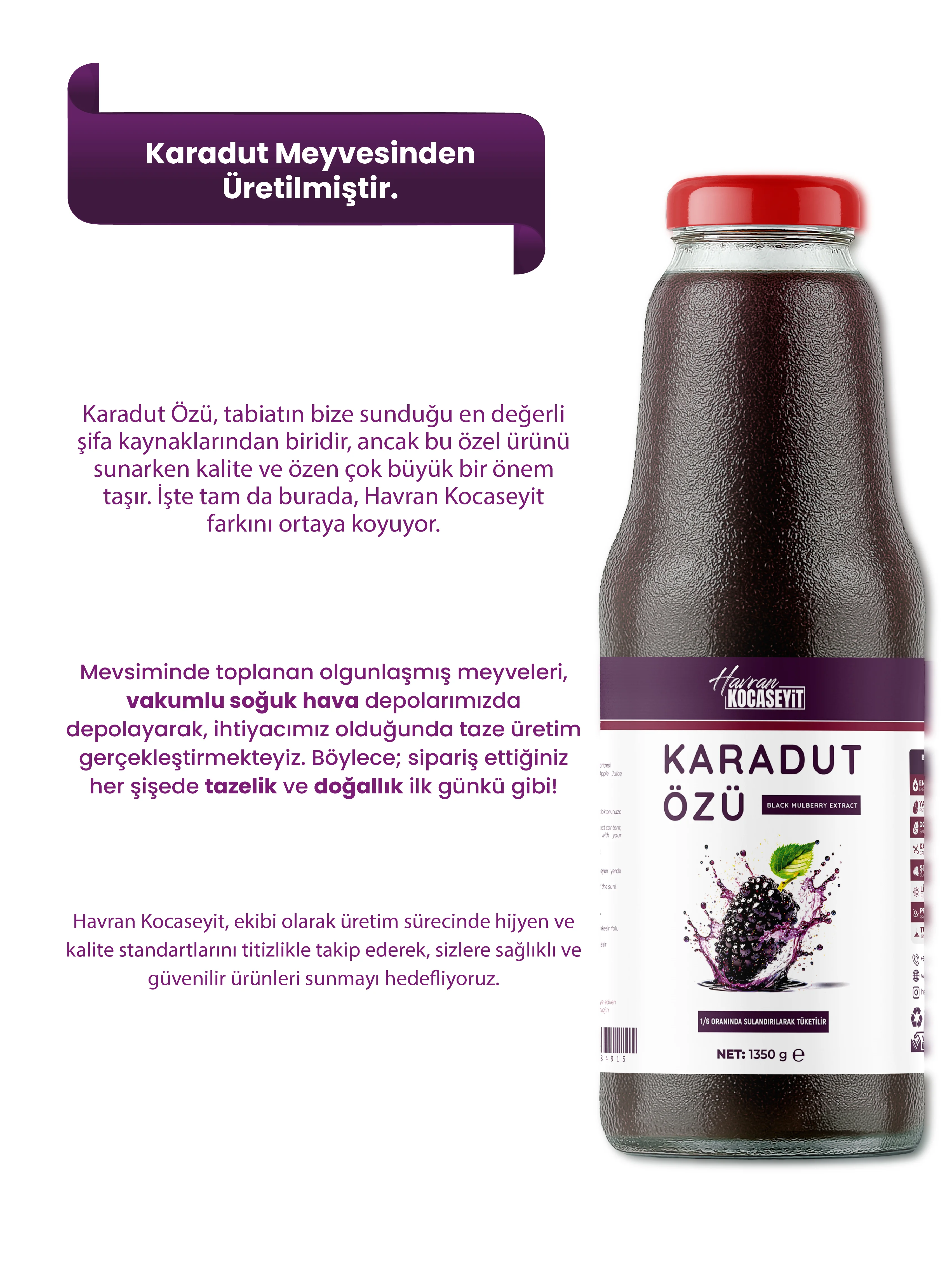 Karadut Özü 1350 g