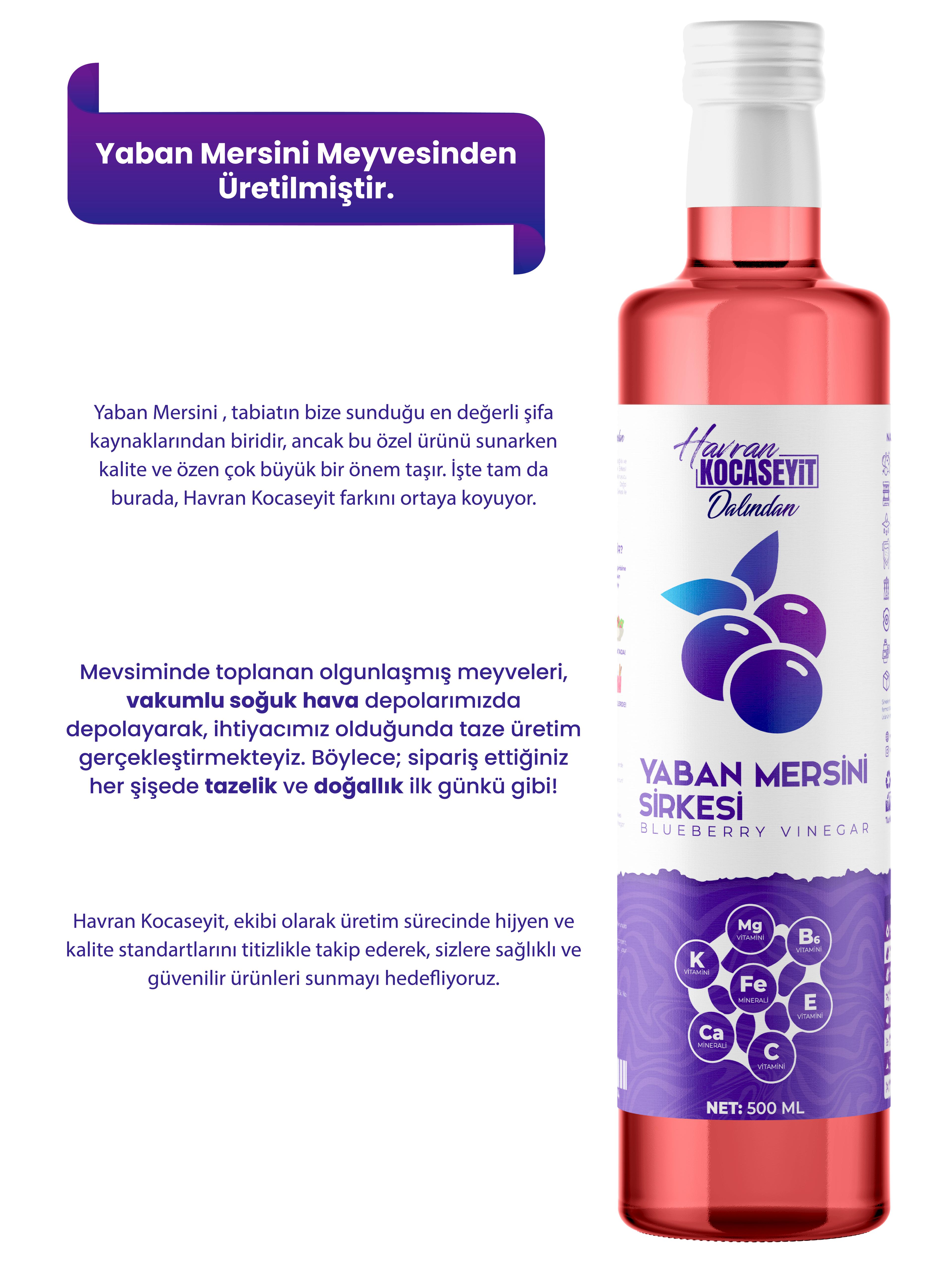 Doğal Antioksidan Yaban Mersini Sirkesi 500 Ml