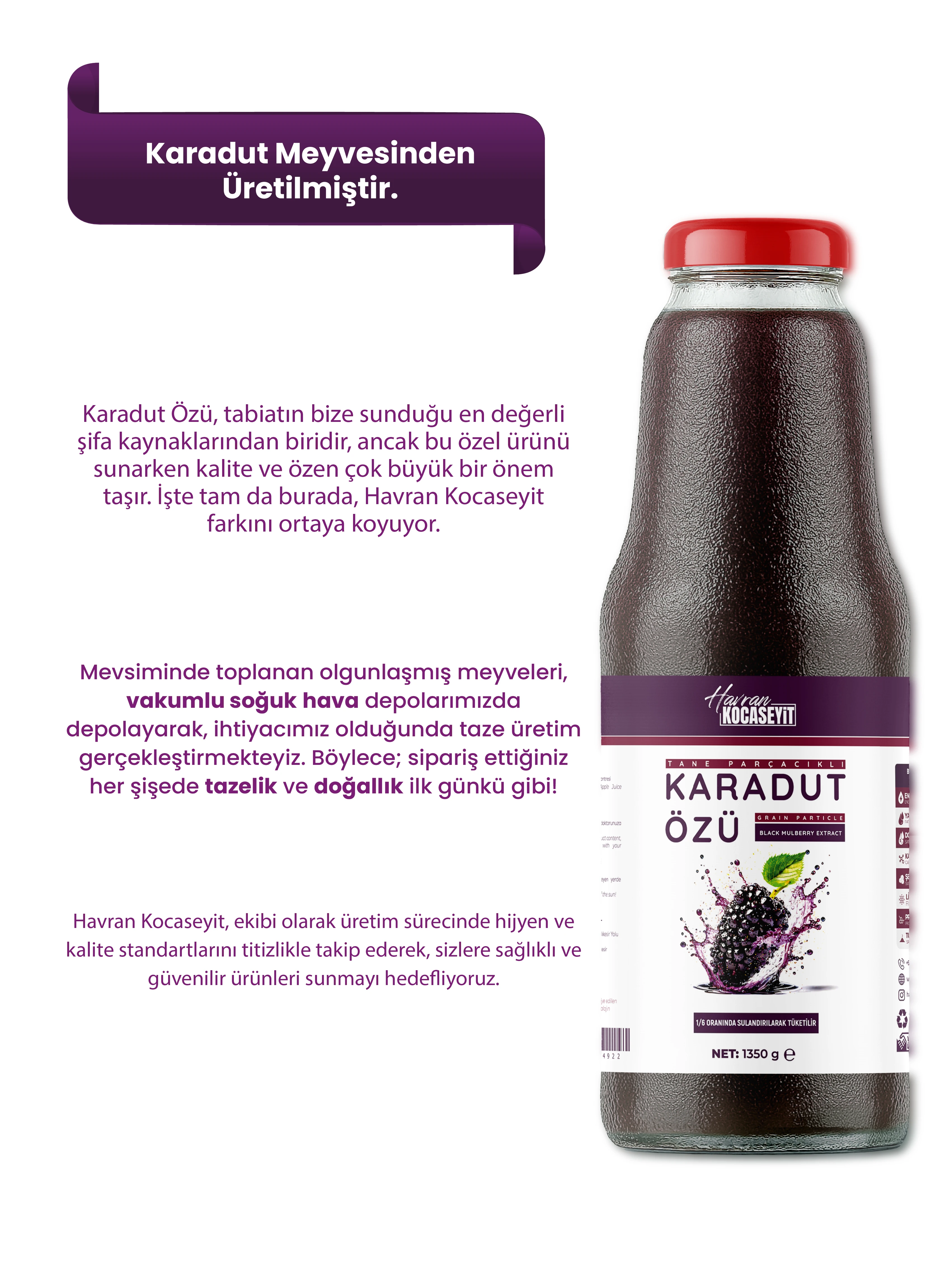 Taneli Karadut Özü 1350 g