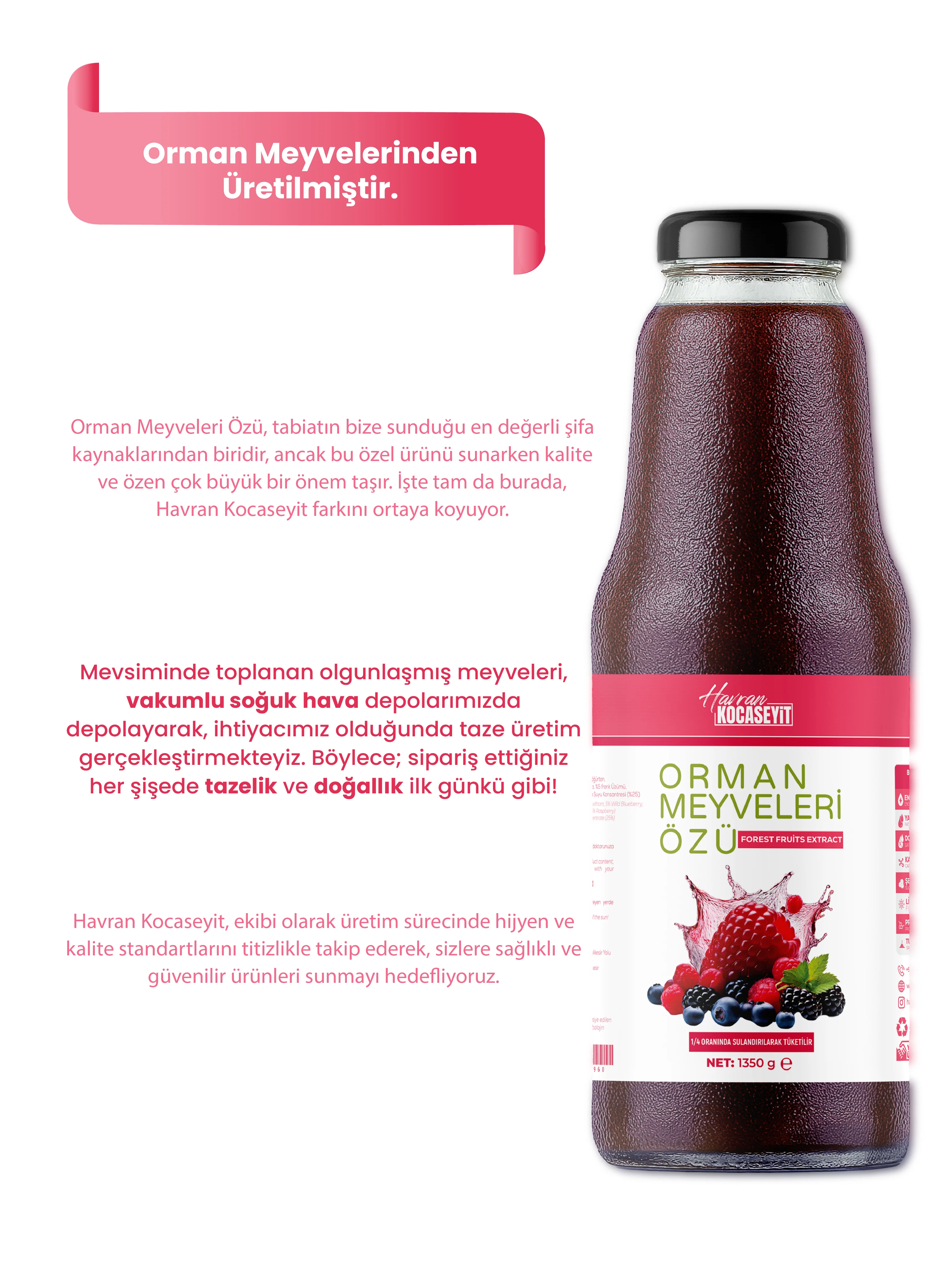 Orman Meyvesi Özü 1350 g