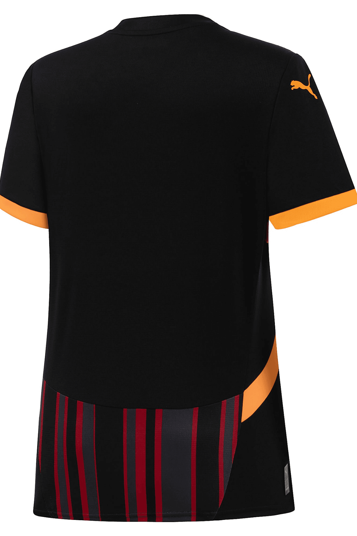 Galatasaray S.K. 24/25 Kadın Üçüncü Forma 77965803