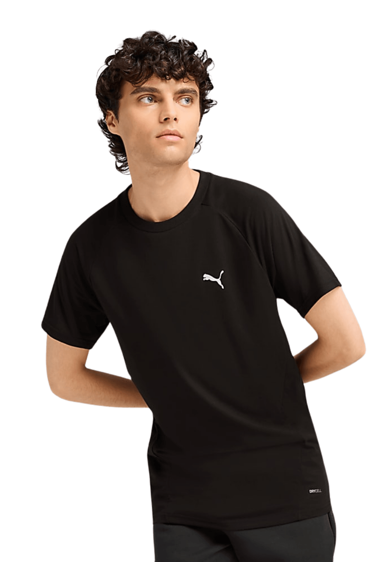 Puma Evostrıpe Tee Erkek Siyah Tişört