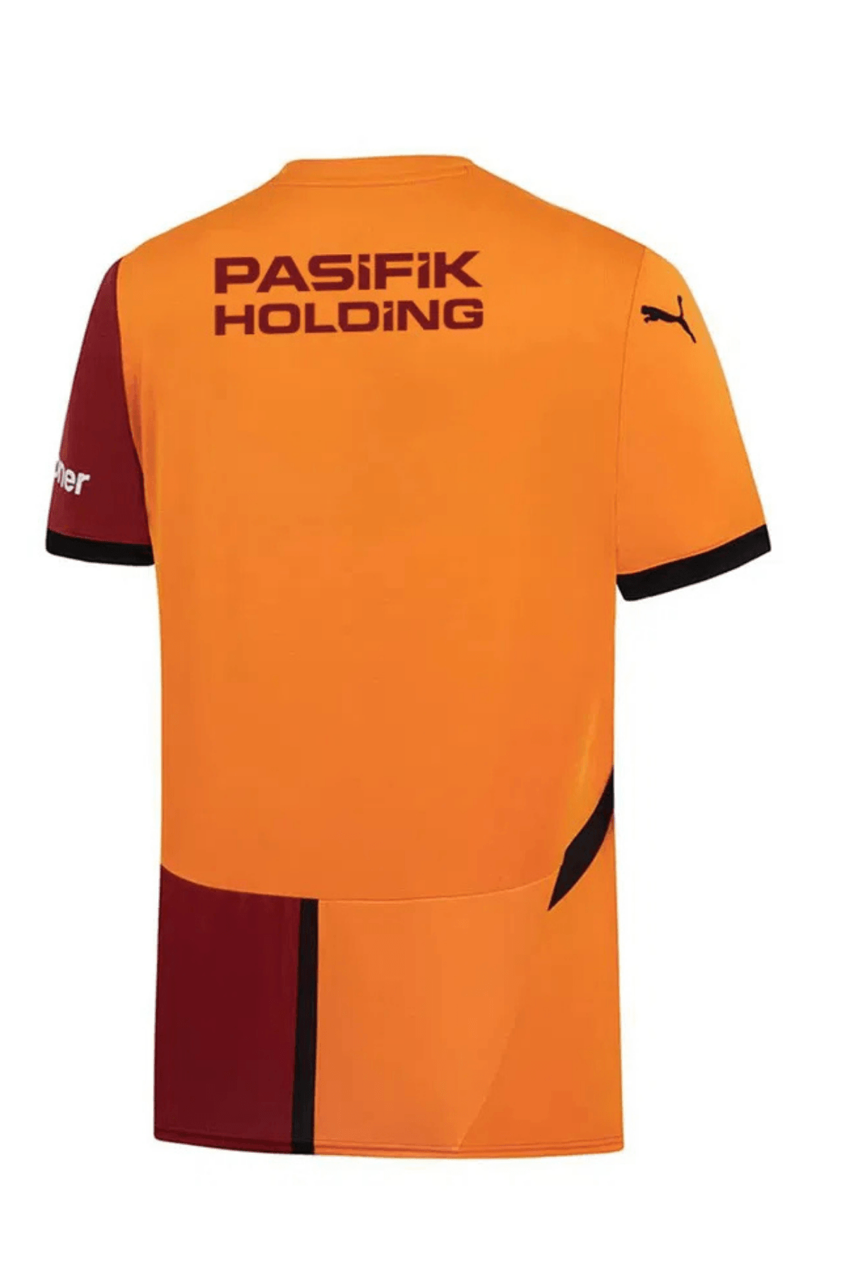 Galatasaray Puma 2024/2025 İç Saha Parçalı Forma 77965001