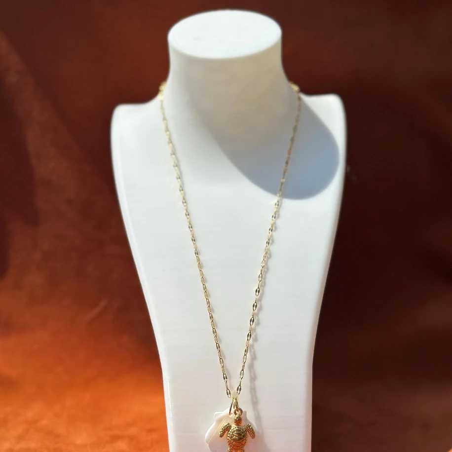 Kaplumbağa+Deniz Kabuğu Çelik Kolye