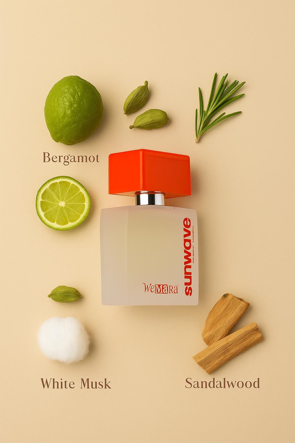 WEMARA SUN WAVE ERKEK PARFUM EDP 50 ML