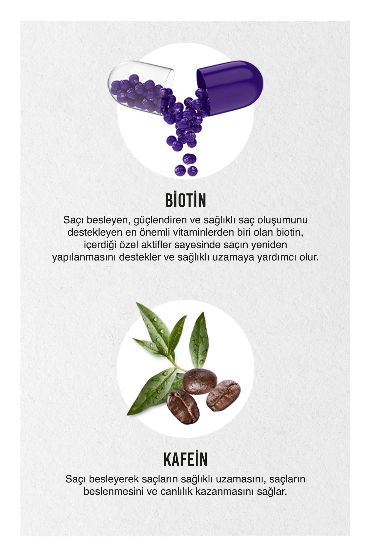 Urban Care Expert Biotin Caffeine Sampuan 350 Ml