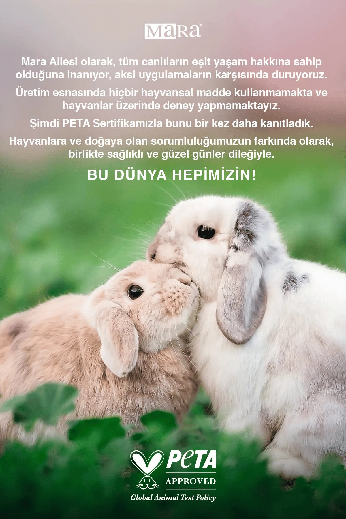 WEMARA LITTLE PRINCESS SU BAZLI MAVI OJE & GLITTERLI OJE MAVI SET 2 LI (2*8 ML)