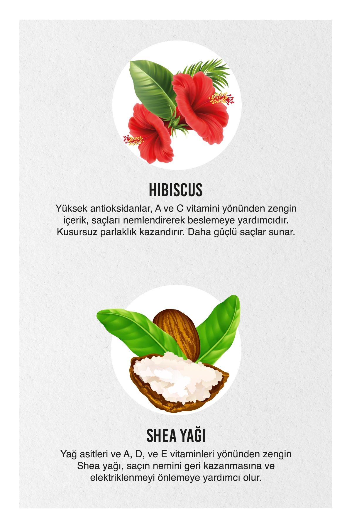 Urban Care Shake N Repair 7/24 Bakim Köpük 150 Ml Twisted Curl Hibiscus ve She Butter*24