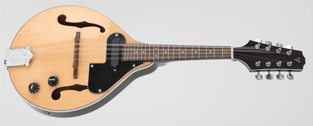 ELEKTRO MANDOLIN