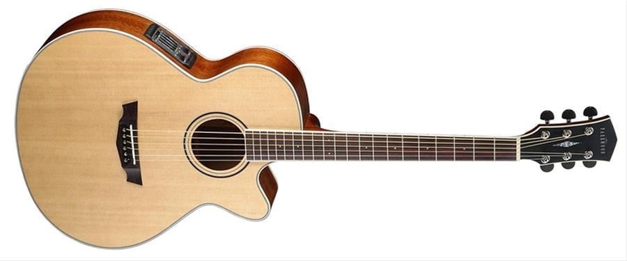 ELEKTRO AKUSTİK CUTAWAY GİTAR, PARKWOOD SERİSİ