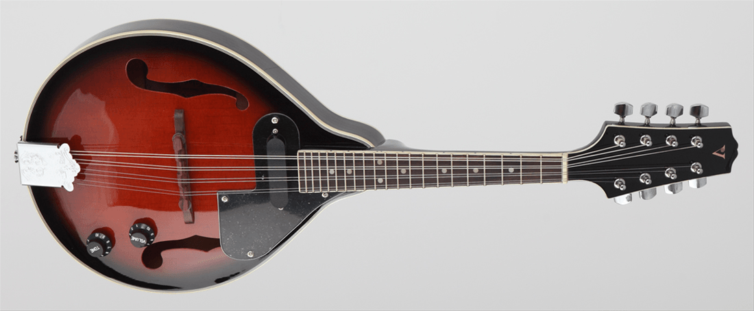 ELEKTRO MANDOLIN VINTAGE SUNBURST