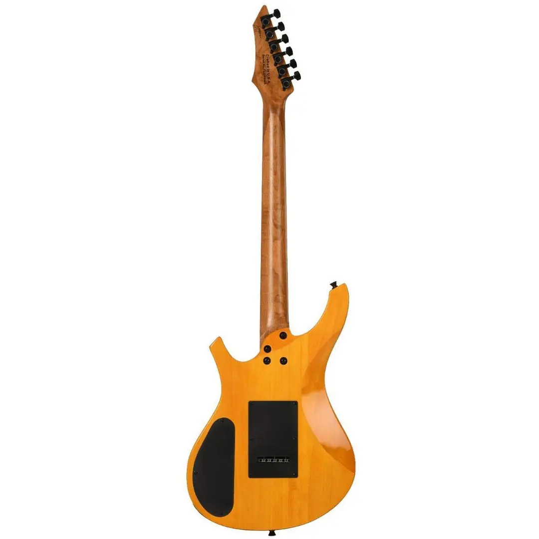 Erdem İnce Müzik Merkezi | Carneville By Zoppran ZX10SB Sunburst