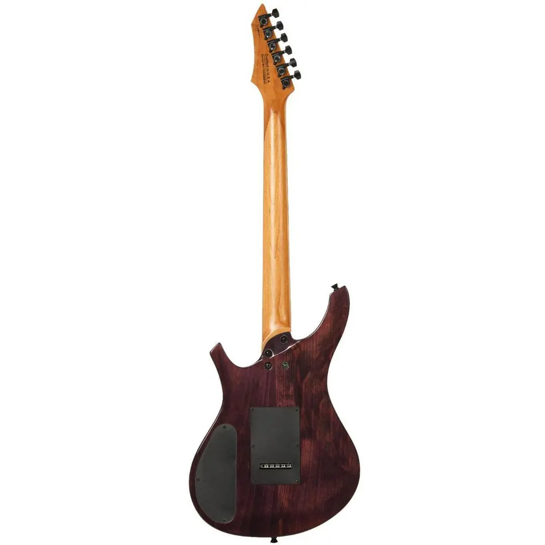 ギター CARNEVILLE ZX10PP Elektro Gitar | Gelişmiş Özellikler